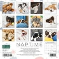 thumbnail image 2 of Naptime (Dogs) 2024 7 X 7 Mini Wall Calendar (Other), 2 of 4