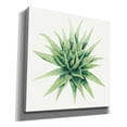 thumbnail image 2 of Epic Graffiti 'Tropical Plant III' by Grace Popp, Canvas Wall Glass, 12"x12", 2 of 2