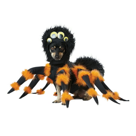 Spider Pup Pet Costume California Costumes PET20149