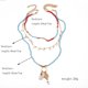 thumbnail image 2 of Collar multicapa para mujer hecho a mano: collar de cuentas bohemio simple con dijes, 2 of 6