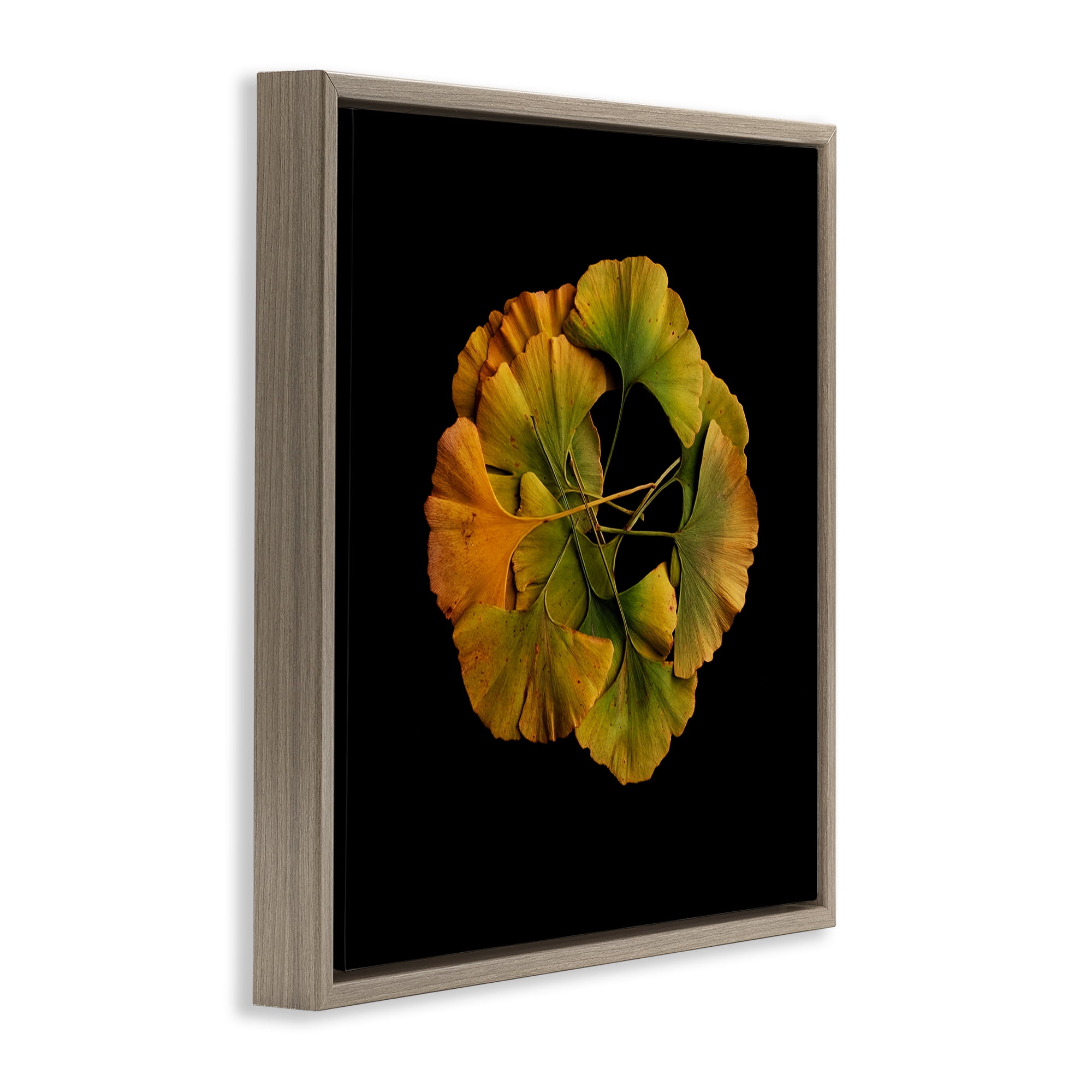 Stupell Industries Overlapping Ginkgo Leaves Brown Framed Floater Canvas Wall Art, design by Beth Adoette