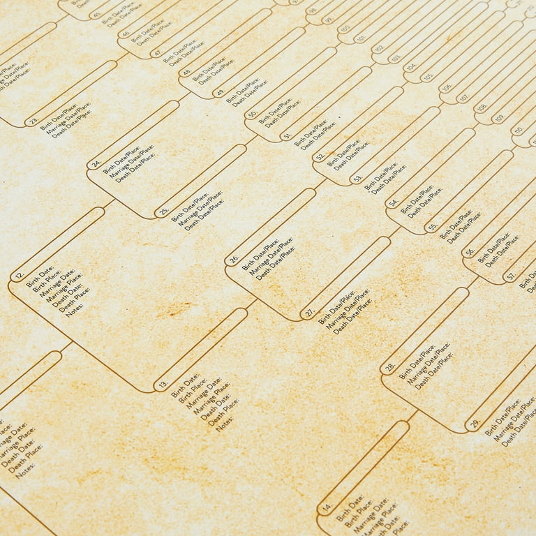 Family Tree Chart Genealogy,Blank Family Tree Chart Beiges