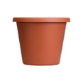 thumbnail image 2 of The HC Companies 12" Classic Flower Pot Planter, Terra Cotta (6 Pack), 2 of 6