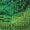 Jungle Green, variant on Womens Camisole Tops Print Chain Beading Adjustable Sleeveless Backless Halter Crop Top Club Vintage Style Summer Tops for Women