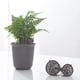 thumbnail image 2 of Ounissouiy Cesta con tapa de fertilizante, suministros de jardinería para el hogar, soporte de almacenamiento pequeño, caja de malla, contenedor Jardín y Patio café 2.8*5 cm, 2 of 6