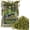 Green, variant on General Sphagnum Moss for Reptiles - Terrarium Reptiles Moss Green Dried Peat Moss Habitat Bedding Moss for Snakes Turtle Frog Gecko and Other Reptiles Substrate (30, Ounces)