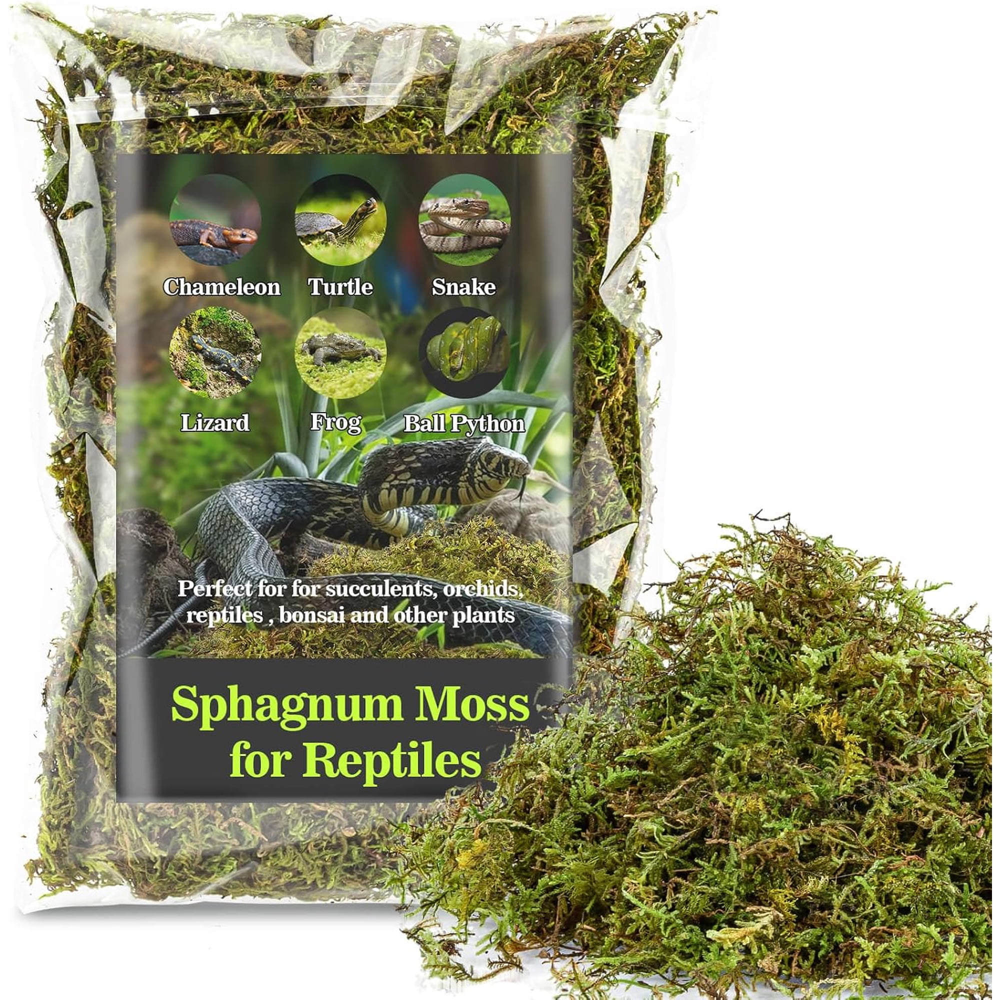 VNEKVA Dried Green Sphagnum Moss Reptile Substrate, Natural Peat Moss Terrarium Bedding, Ideal Habitat Liner for Turtles, Frogs, Geckos, Snakes & Amphibians, 11.2 oz