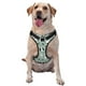 thumbnail image 1 of Balery Puppy Arnés para Perros Grandes Antitirones, Arnés con Correa para Gato, Arnés Tipo Chaleco para Perros Pequeños-Small, 1 of 6