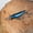 A007- G, variant on 1PC Micro Sinking Minnow Lure, Fishing Bait for Freshwater Saltwater, Ideal for Trout Bass Walleye, Ultra-Light 1/32oz 5in Length