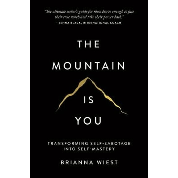 Pre-Owned The Mountain Is You : Transforming Self-Sabotage into Self-Mastery (Paperback) 9781949759228
