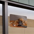 thumbnail image 3 of Boxer Puppy Dog Sleeping on Guitar Home Business Office Sign, 3 of 4