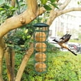 thumbnail image 7 of EUDIDV Suet Bird Feeder Bird Metal Feeder Hanging Feeders Viewing Window For Garden Yard Decoratio Avian Feast Station, 7 of 7