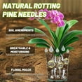 thumbnail image 2 of Tutuviw10oz Rotting Pine Needles Mulch for Orchid,Natural Mulch for Potted Plants,Premium Pine Needle Mulch for Garden Landscaping Orchid Potting Mix for Indoor Outdoor Potted Plants, 2 of 6