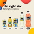 thumbnail image 4 of Minute Maid Peach, 20oz, Bottles, (Pack of 12), 4 of 6