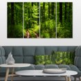 thumbnail image 1 of Verdure Fascinante dans une Forêt Sauvage - Impression sur Toile de Forêt, 1 of 3