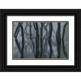 thumbnail image 1 of Irie, Ryohei 14x11 Black Ornate Wood Framed with Double Matting Museum Art Print Titled - Rain fog, 1 of 4