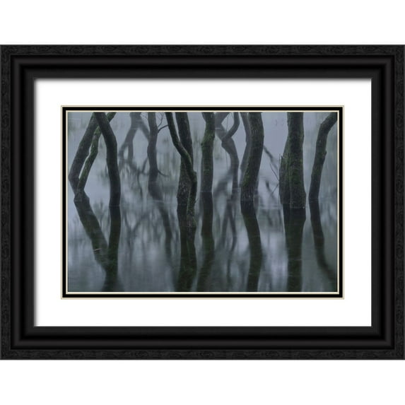 Irie, Ryohei 14x11 Black Ornate Wood Framed with Double Matting Museum Art Print Titled - Rain fog