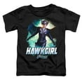 thumbnail image 2 of Legends Of Tomorrow Hawkgirl Kids T Shirt (4) for Youth Toddler Boys and Girls, Black, 2 of 5