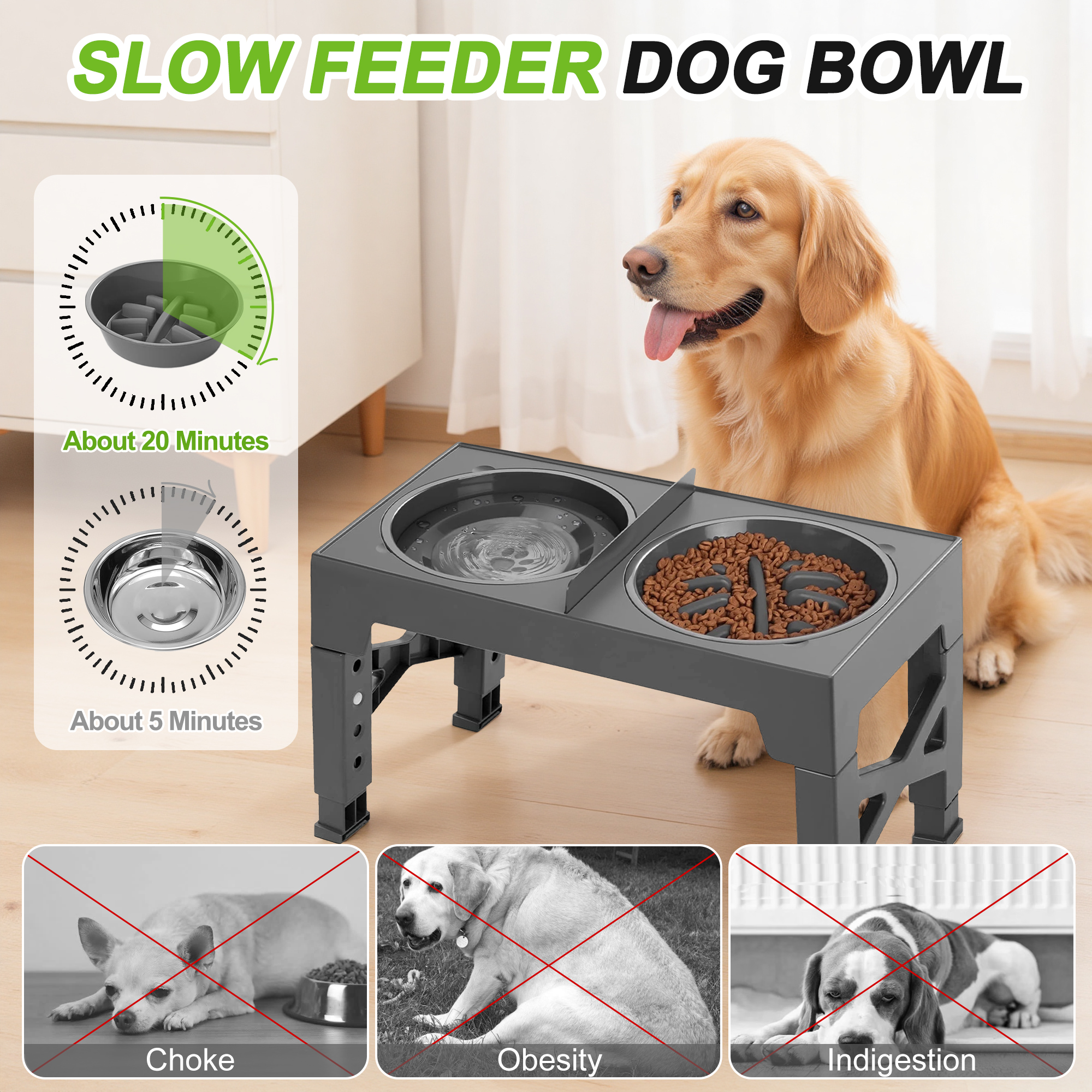 Garitin Elevated Slow Feeder Dog Bowls with Stand photo 2