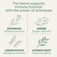 thumbnail image 2 of OG2 TM TEA IMUN GNGR LEM (BOLSA DE 6 X 16), 2 of 7