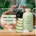 thumbnail image 2 of Shampoo Orgánico Revitalizante POCKETCARE con Sábila, Verbena, Romero y Espinosilla | Hidratación Profunda, Brillo Saludable, Anticaída | Sin Sulfatos ni Parabenos | 325 ml, 2 of 11