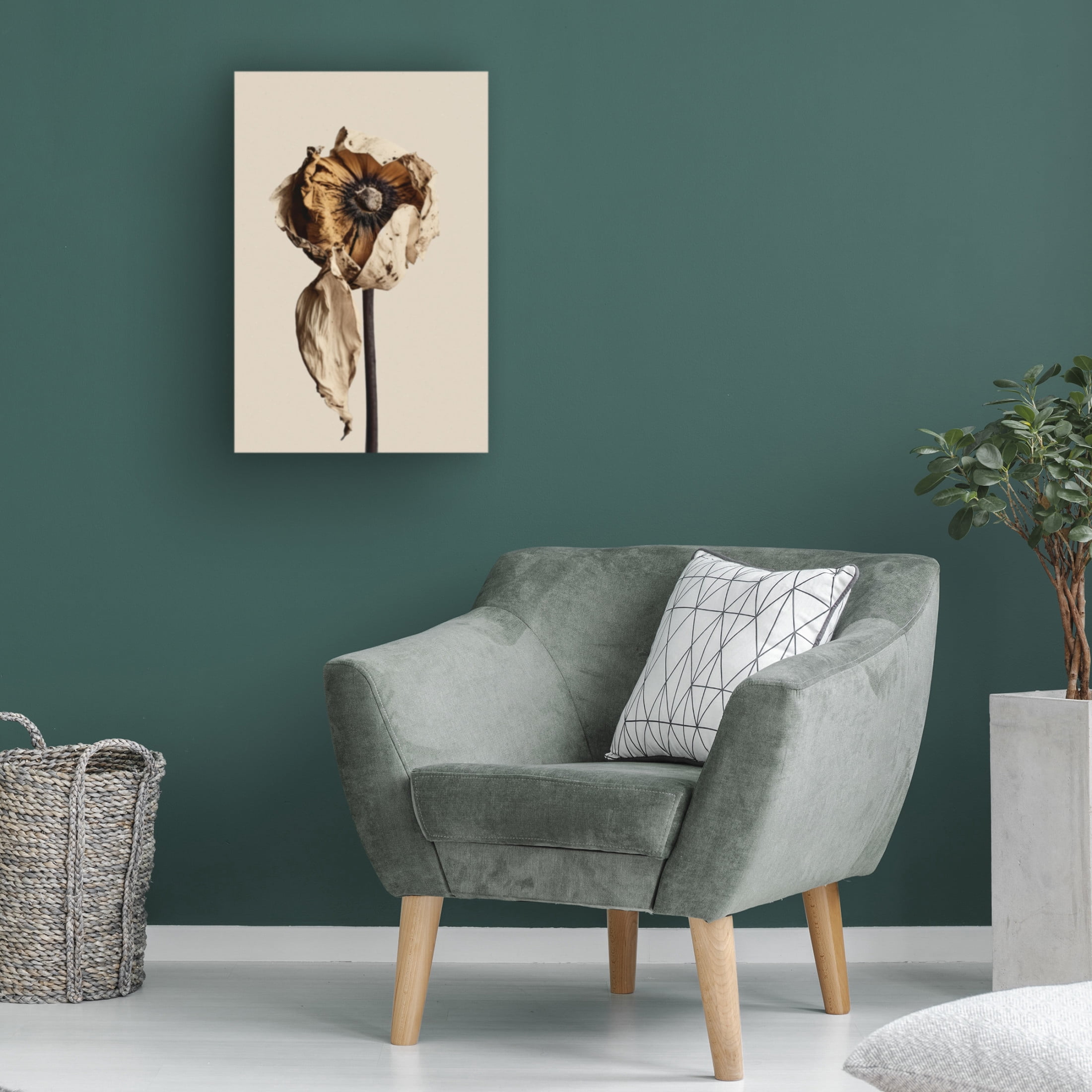 Trademark Fine Art Treechild A Short Moment Canvas Wall Art