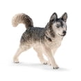 thumbnail image 2 of Husky, 2 of 2