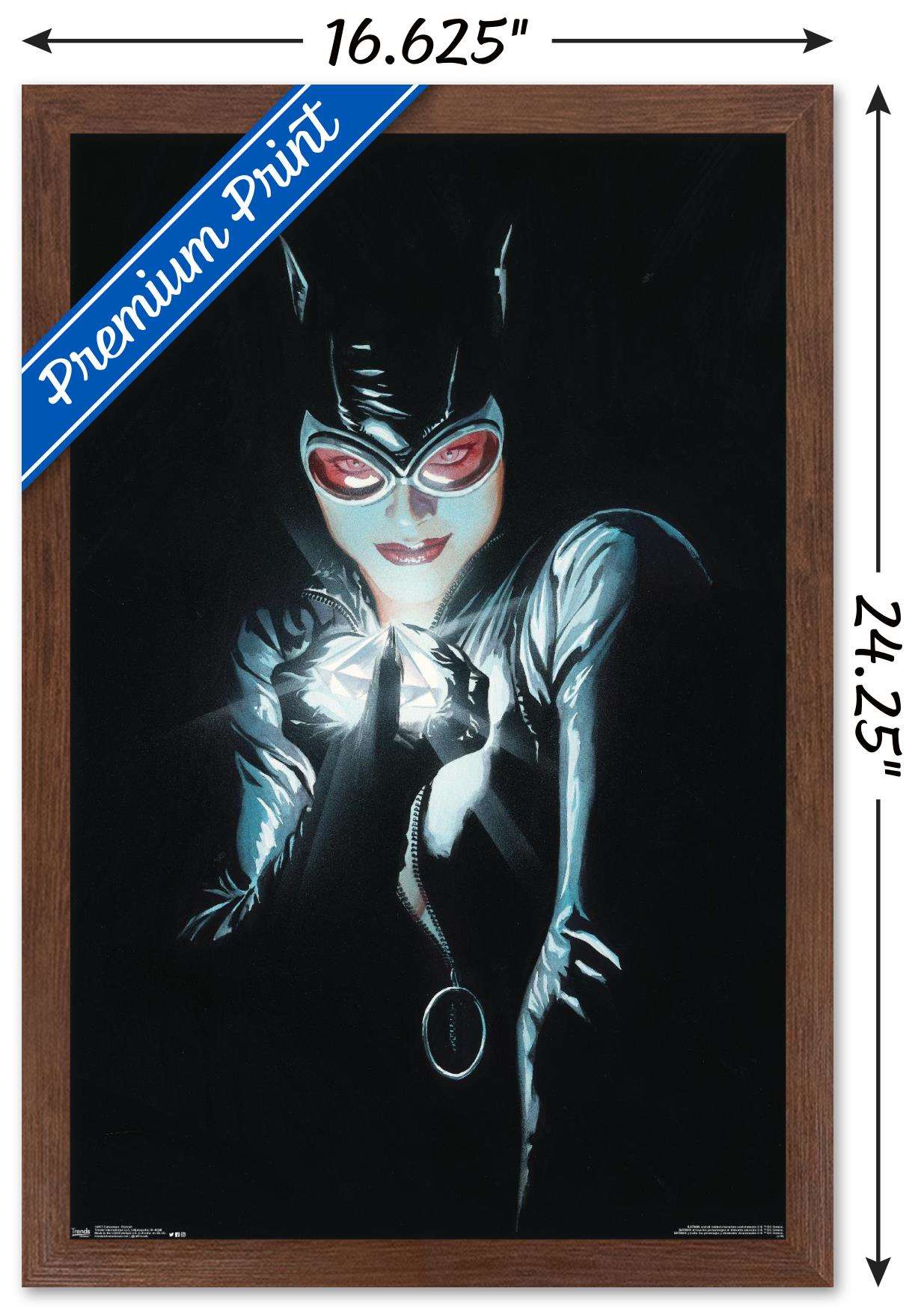 DC Comics - Catwoman - Portrait Wall Poster, 14.725" x 22.375", Framed