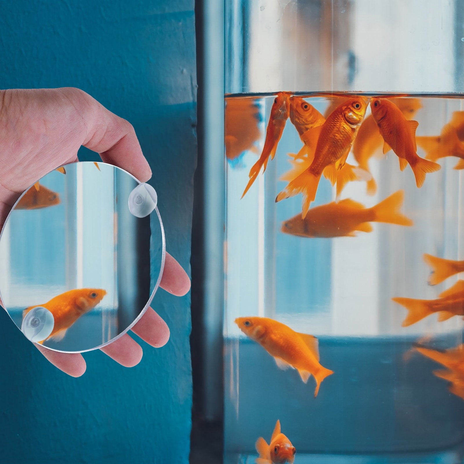 Eease Betta Fish Exercise Mirror Betta Fish Training Mirror Round Acrylic Mirror With Suction Cups Walmart Business Supplies