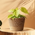 thumbnail image 1 of Elodie Paniers de Rangement Ronds Sac à Linge Panier Tressé pour Plantes Intérieur Maison m, 1 of 8