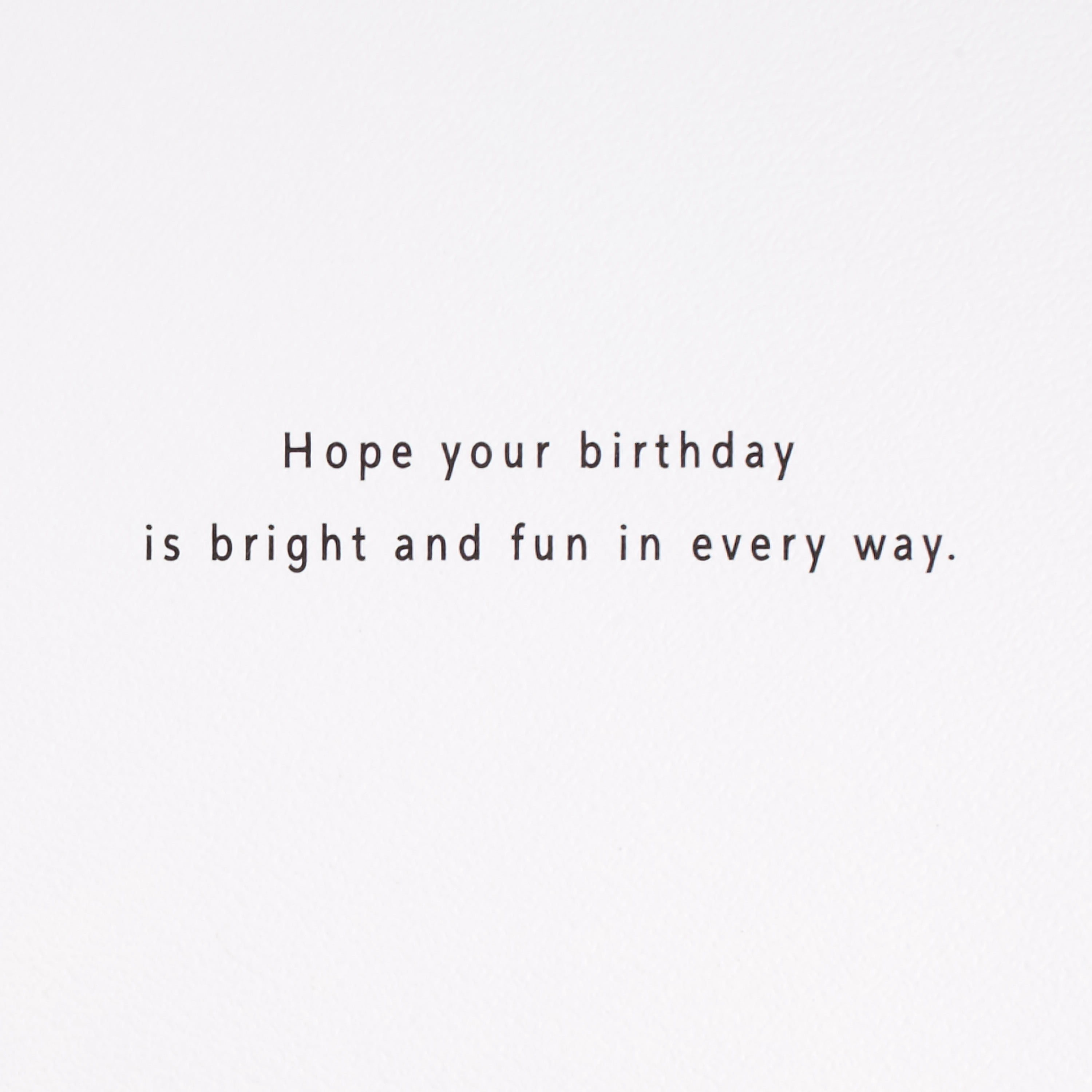Hallmark Signature Birthday Greeting Card (Confetti-Filled Balloon Animal)