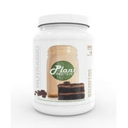 NutraBio Plant Protein Powder– Vegan Protein Powder – 20G of Protein per Scoop –Organic, Lactose Free and Dairy Free- Mochaccino Cake 18 Servings