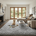 thumbnail image 2 of Rugs for Living Room, 6'x9' Soft Fluffy Area Rug for Bedroom, Plush Decorative Rug with Anti-Skid Backing, Indoor Home Carpet for Living Room, Light Grey, 2 of 6