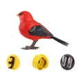 thumbnail image 2 of Chok's West Knight Voice-Activated Simulation Bird Induction Toy Gift 12*4.5*8.9CM, 2 of 2