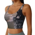 thumbnail image 2 of Balery Black Dragon Cliff Dawn Sujetadores deportivos con espalda cruzada para mujer, acolchados, sin costuras, de alto impacto, ideales para yoga, gimnasio, entrenamiento y fitness.-Medium, 2 of 8