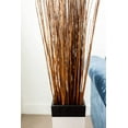 thumbnail image 6 of Green Floral Craft | 90-100 Stem Dried Asian Willow Decorative Branches 4-5 Feet Tall Floor Vase Filler (Honey), 6 of 7