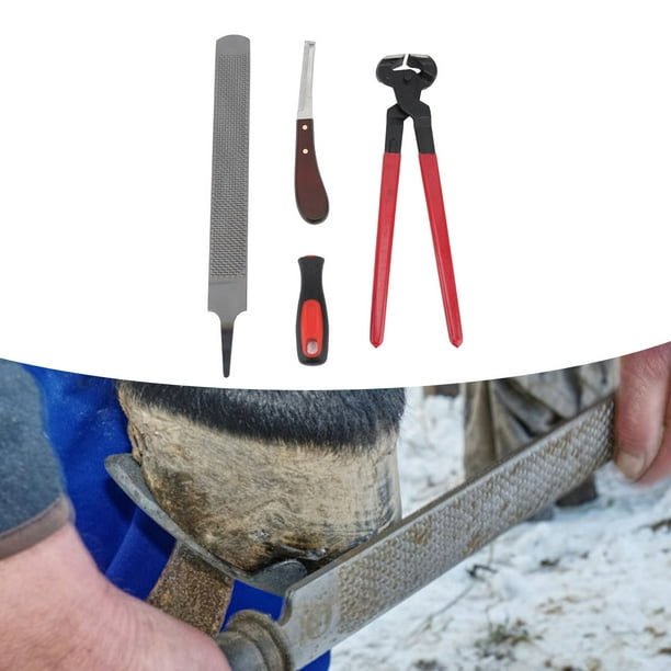 Kit De Maréchal-ferrant SN EQUINE – 3 Outils De Réparation Et Garniture De Sabot