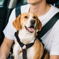 thumbnail image 4 of Hearth & Gear Car Pet Belt Dog Car Leash Cute Pet Car Adjustable Rope Rope Strong Retractable Dog Leash Heavy Duty Retractable Dog Leash Chew Proof Wrist Leash for 2 Dogs Two Dogs Leash Leather Dog, 4 of 4