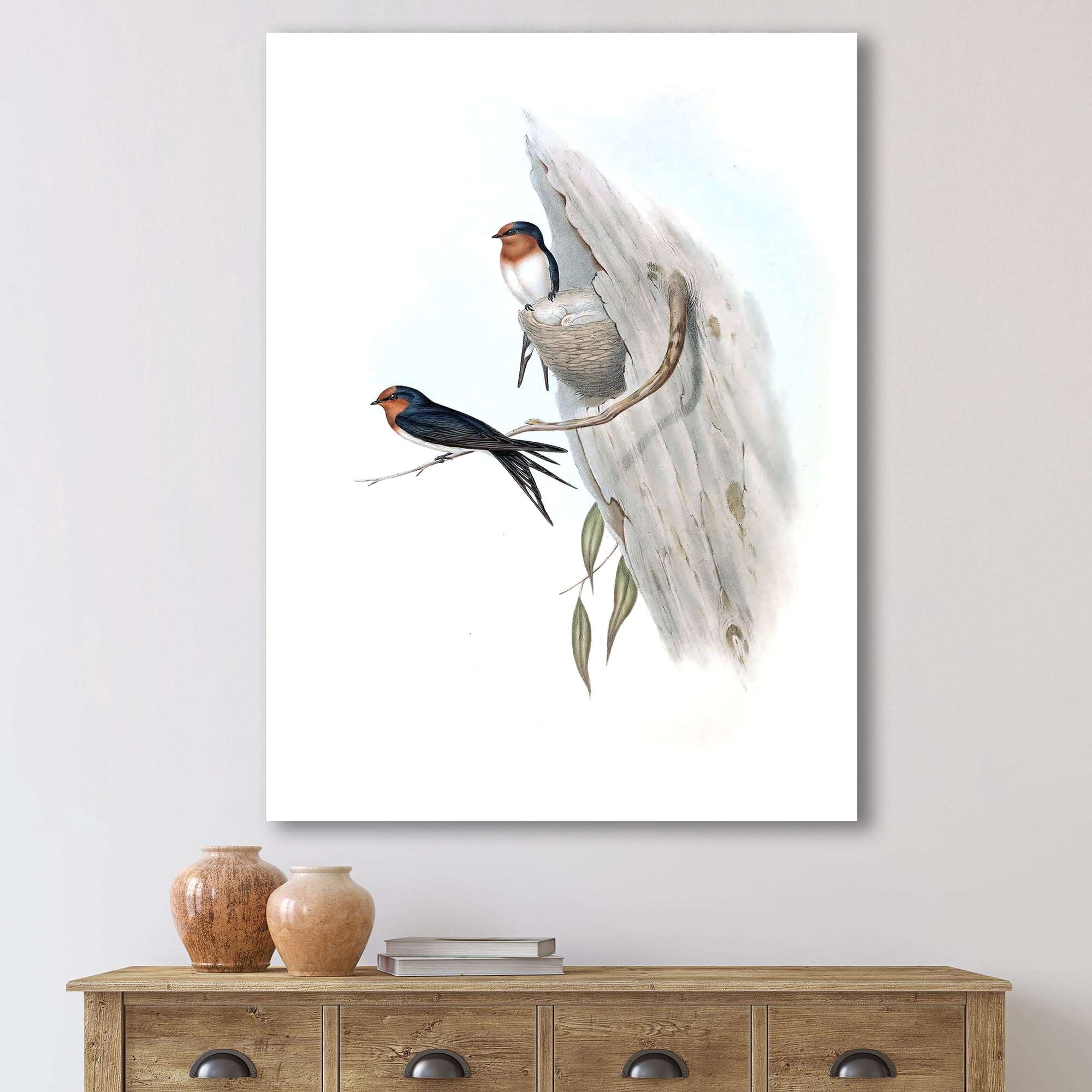 Ancient Australian Bird Illustrations II 12 in x 8 in Painting Canvas Art Print, by Designart