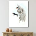 thumbnail image 2 of Ancient Australian Bird Illustrations II 16 in x 32 in Painting Canvas Art Print, by Designart, 2 of 4