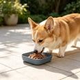 thumbnail image 5 of Leodye 1PCS Square Shallow Wide Pet Feeding Bowl Easy To Clean Food Water Snack Dish for Small Medium ss Dry Wet Food -5.71x5.71in, 5 of 6