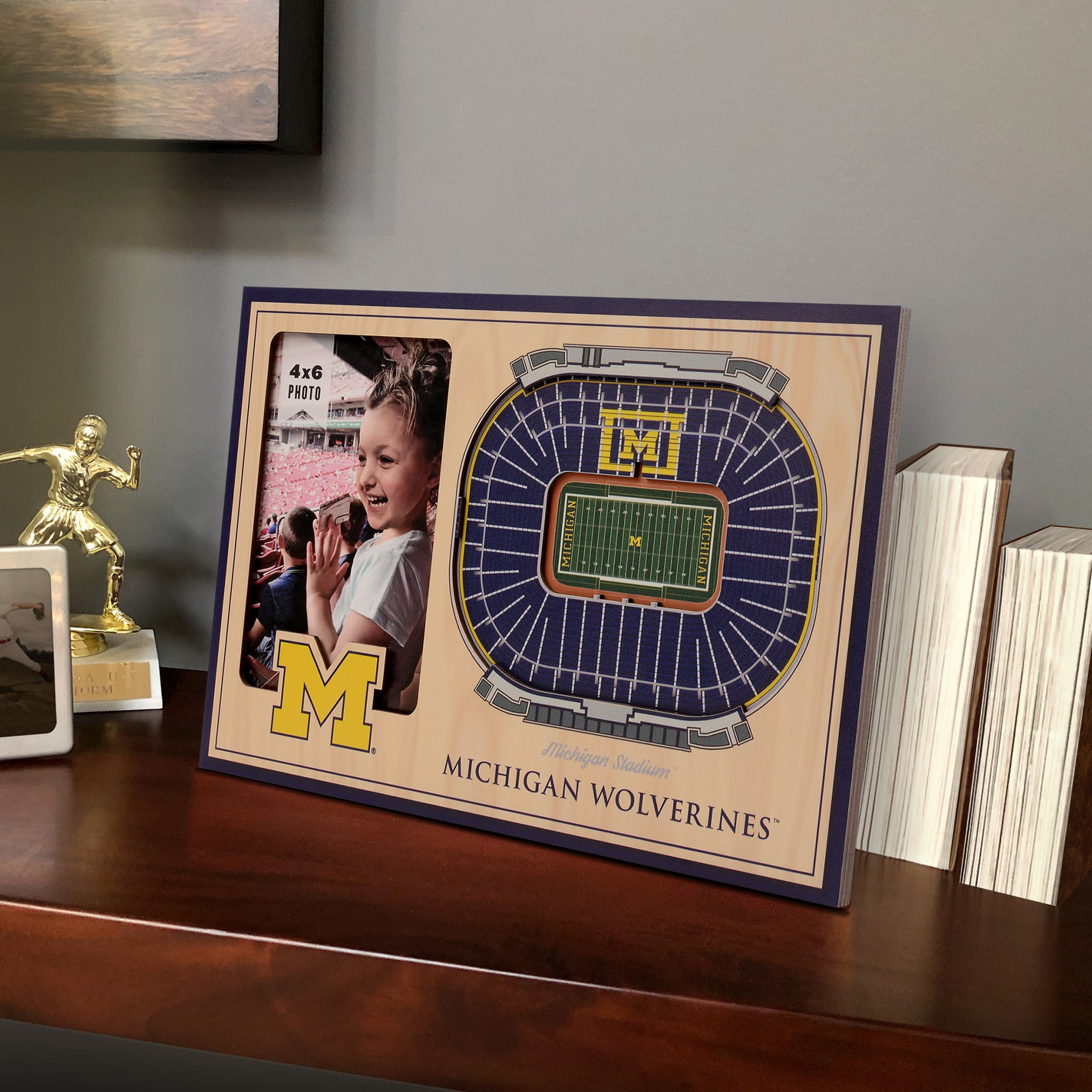 IDNA Michigan Wolverines 3D StadiumViews Picture Frame