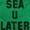 Irish Green, variant on Funny Beach Lover Sea You Ocean Vibes Womens Fitted Plus Size Graphic Tee Brisco Brands 2X