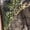 Mossy Oak Country DNA, variant on Rocky Lynx Snake Waterproof Zipper Pull-On Snake Boot