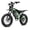 Green, variant on BIGNIU BG-S Electric Bike for Adults – 20" Fat Tire, 740W Motor, 48V 15A Battery, 7-Speed, Dual Disc Brakes for Off-Road and City Riding UL2849