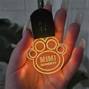 Custom Acrylic LED Dog Tag Pet Night Walk Safety Light Personalized Pet Name Laser Engraved