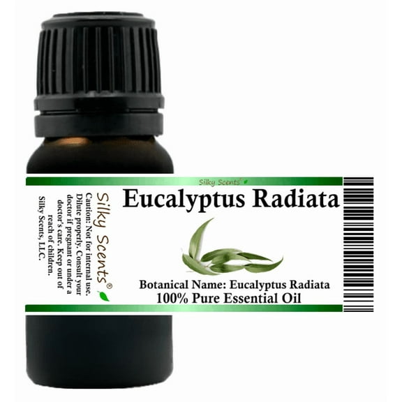 Eucalyptus Radiata Essential Oil 5 ml (1/6 fl oz) - 100% Pure and Natural by Silky Scents