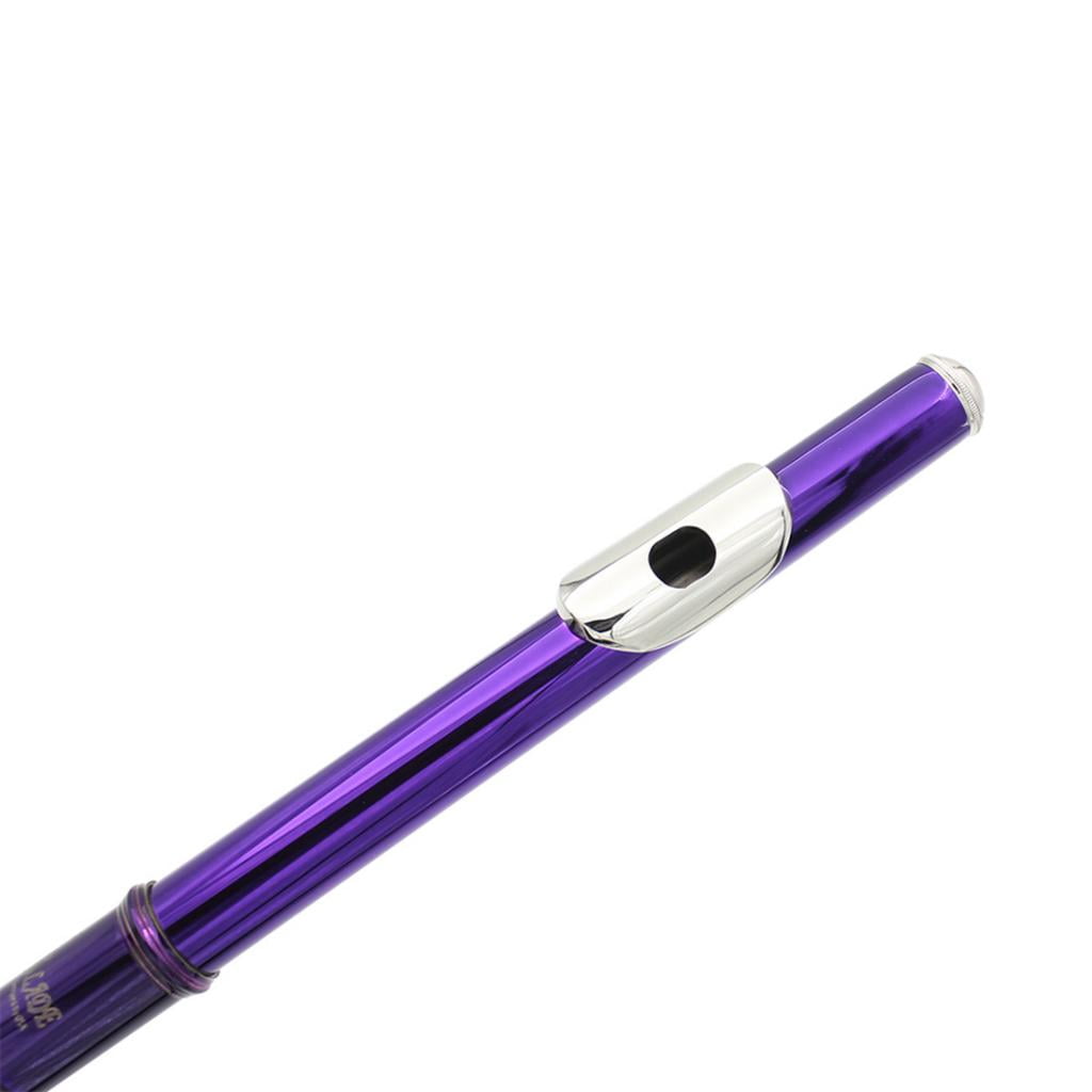 LeeQinersw 16 Hole Cupronickel Tube C Key Flute With 20 Pieces Key Plugs Purple