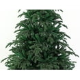 thumbnail image 2 of Le Grand Sapin de Noël Fraser Fir (7 Pi Non Éclairé), 2 of 4