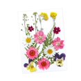 thumbnail image 4 of Flores prensadas secas Strade Fareast Limited juego de flores artesanales, 4 of 8